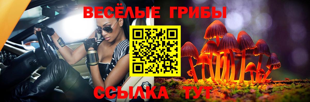 Галлюциногенные грибы Psilocybine cubensis  Вход с VPN  Шатура 